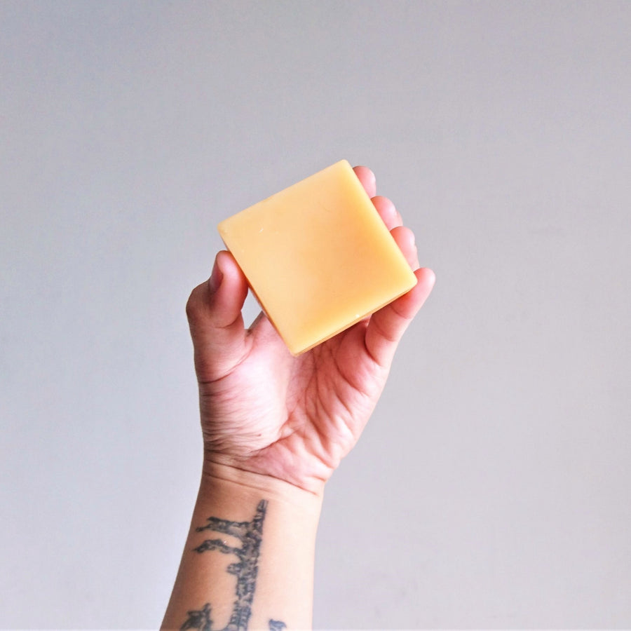 hand-holding-package-free-ecobar-repair-and-nourish-conditioner-bar