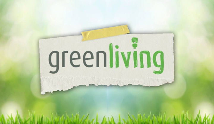 SEPTEMBER 17, 2019 MEDIA FEATURE : DRUID THINGS ON ANC'S GREEN LIVING