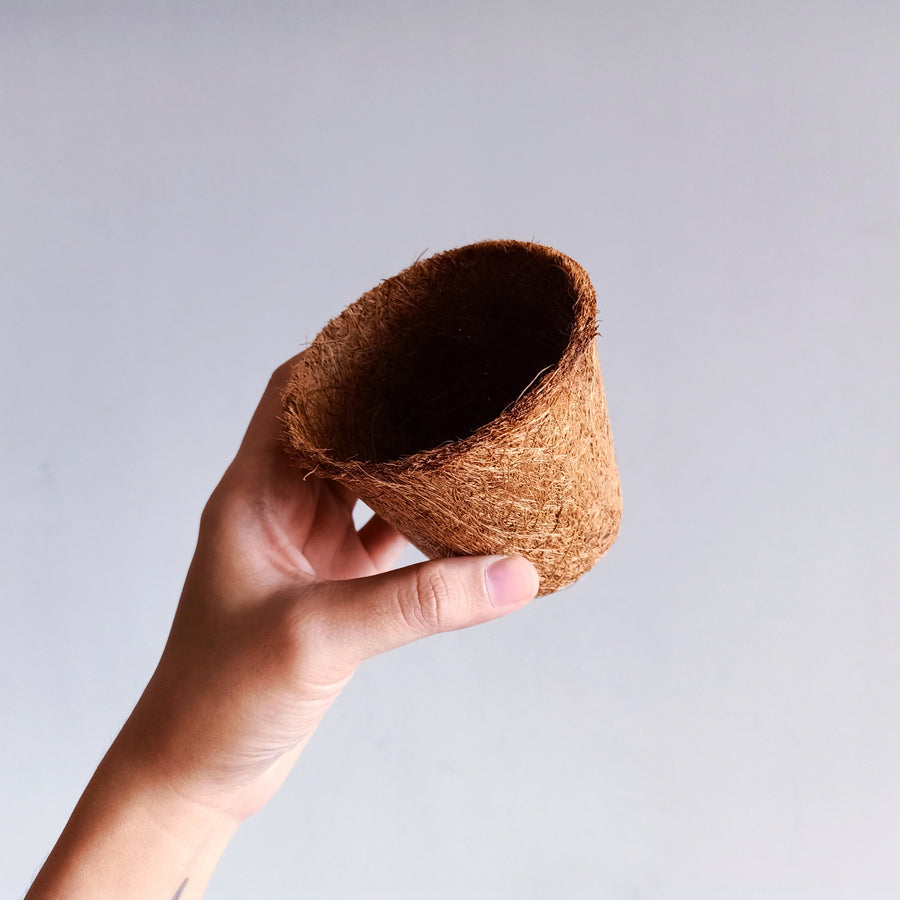 Coconut Fiber Seedling Pot