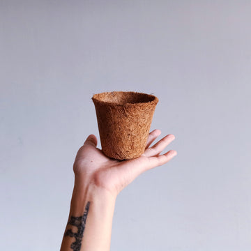 Coconut Fiber Seedling Pot
